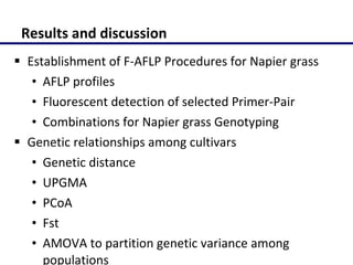 Molecular characterization of Napier grass (Pennisetum purpureum Schumach.) germplasm using fluorescent labelled amplified fragment length polymorphism (FL-AFLP)