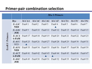Molecular characterization of Napier grass (Pennisetum purpureum Schumach.) germplasm using fluorescent labelled amplified fragment length polymorphism (FL-AFLP)