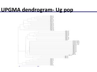 Molecular characterization of Napier grass (Pennisetum purpureum Schumach.) germplasm using fluorescent labelled amplified fragment length polymorphism (FL-AFLP)
