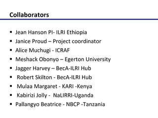 Molecular characterization of Napier grass (Pennisetum purpureum Schumach.) germplasm using fluorescent labelled amplified fragment length polymorphism (FL-AFLP)