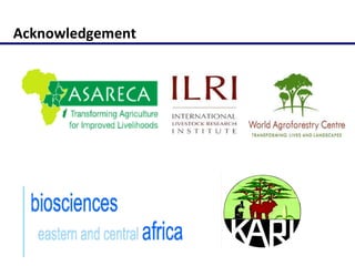 Molecular characterization of Napier grass (Pennisetum purpureum Schumach.) germplasm using fluorescent labelled amplified fragment length polymorphism (FL-AFLP)