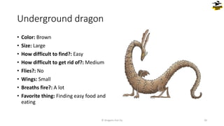 Underground dragon
• Color: Brown
• Size: Large
• How difficult to find?: Easy
• How difficult to get rid of?: Medium
• Flies?: No
• Wings: Small
• Breaths fire?: A lot
• Favorite thing: Finding easy food and
eating
© Dragons Out Oy 20
 