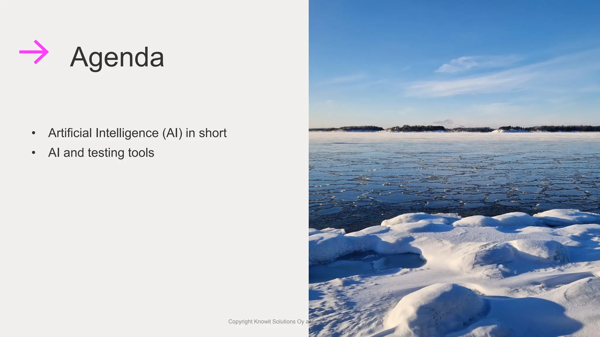 • Artificial Intelligence (AI) in short
• AI and testing tools
Agenda
Copyright Knowit Solutions Oy and Dragons Out Oy 2024 7
 