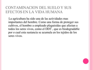 CONTAMINACION DEL SUELO Y SUS EFECTOS EN LA VIDA HUMANA La agricultura ha sido una de las actividades mas importantes del hombre. Como una forma de proteger sus cultivos, el hombre a empleado plaguisidas que afectan a todos los seres vivos, como el DDT , que es biodegradable por o cual esta sustancia se acumula en los tejidos de los seres vivos. 