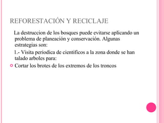 REFORESTACIÓN Y RECICLAJE La destruccion de los bosques puede evitarse aplicando un problema de planeación y conservación. Algunas estrategias son: 1.- Visita periodica de cientificos a la zona donde se han talado arboles para: Cortar los brotes de los extremos de los troncos 