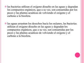 las bacterias utilizan el oxígeno disuelto en las aguas y degradan los compuestos orgánicos, que a su vez, son consumidas por los peces y las plantas acuáticas de volviendo el oxígeno y el carbono a la biosfera. las aguas arrastran los desechos hacia los océanos, las bacterias utilizan el oxígeno disuelto en las aguas y degradan los compuestos orgánicos, que a su vez, son consumidas por los peces y las plantas acuáticas de volviendo el oxígeno y el carbono a la biosfera. 