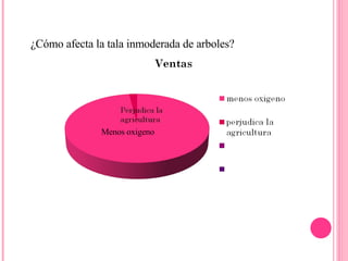 ¿Cómo afecta la tala inmoderada de arboles? Menos oxigeno 