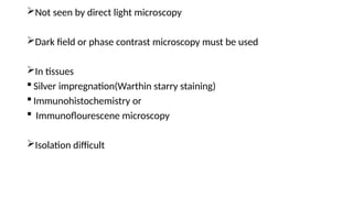 Not seen by direct light microscopy
Dark field or phase contrast microscopy must be used
In tissues
 Silver impregnation(Warthin starry staining)
 Immunohistochemistry or
 Immunoflourescene microscopy
Isolation difficult
 