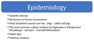 Zoonotic disease
No human to human transmission
Most important sources are rats , dogs , cattle and pigs.
The most common culture medium for leptospira is Ellinghausen
McCullough – johnson – Harris(EMJH)medium
Noble agar
Fletchers medium
Epidemiology
 