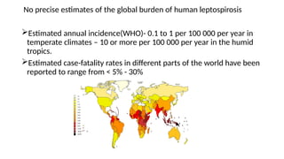 No precise estimates of the global burden of human leptospirosis
Estimated annual incidence(WHO)- 0.1 to 1 per 100 000 per year in
temperate climates – 10 or more per 100 000 per year in the humid
tropics.
Estimated case-fatality rates in different parts of the world have been
reported to range from < 5% - 30%
 