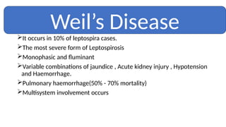 It occurs in 10% of leptospira cases.
The most severe form of Leptospirosis
Monophasic and fluminant
Variable combinations of jaundice , Acute kidney injury , Hypotension
and Haemorrhage.
Pulmonary haemorrhage(50% - 70% mortality)
Multisystem involvement occurs
Weil’s Disease
 