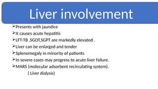 Presents with jaundice
It causes acute hepatitis
LFT-TB ,SGOT,SGPT are markedly elevated .
Liver can be enlarged and tender
Splenomegaly in minority of patients
In severe cases may progress to acute liver failure.
MARS (molecular adsorbent recirculating system).
( Liver dialysis)
Liver involvement
 