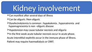Can manifest after several days of illness
Can be oliguric /Non oliguric
Dyselectrolytemia is common : hypokalemia , hyponatremia and
hypomagnesemia is non –oliguric disease
Hypotension may cause tubular necrosis and oliguria
In the first week acute tubular necrosis occur in acute phase.
Acute interstitial nephritis occur in the immune phase of illness.
Patient may require haemodialysis or CRRT.
Kidney involvement
 