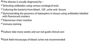 The disease is usually diagnosed by –
Detecting antibodies using various serological tests
Culturing the bacteria from blood , CSF ,urine and tissues
Demonstrating the presence of leptospires in tissues using antibodies labelled
with fluorescent markers
Polymerase chain reaction
Immuno staining
Culture take many weeks and can not guide clinical care
Dark field microscopy of blood /urine not recommended
 
