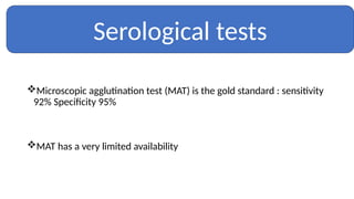 Microscopic agglutination test (MAT) is the gold standard : sensitivity
92% Specificity 95%
MAT has a very limited availability
Serological tests
 