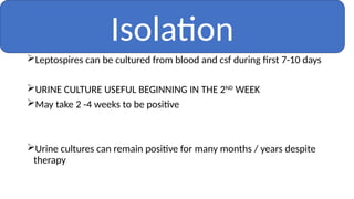 Leptospires can be cultured from blood and csf during first 7-10 days
URINE CULTURE USEFUL BEGINNING IN THE 2ND
WEEK
May take 2 -4 weeks to be positive
Urine cultures can remain positive for many months / years despite
therapy
Isolation
 