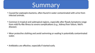 • Caused by Leptospira bacteria, often found in water contaminated with urine from
infected animals.
• Common in tropical and subtropical regions, especially after floods.Symptoms range
from mild flu-like illness to severe complications (e.g., kidney/liver failure, Weil’s
disease).
• Wear protective clothing and avoid swimming or wading in potentially contaminated
water.
• Antibiotics are effective, especially if started early.
Summary
 