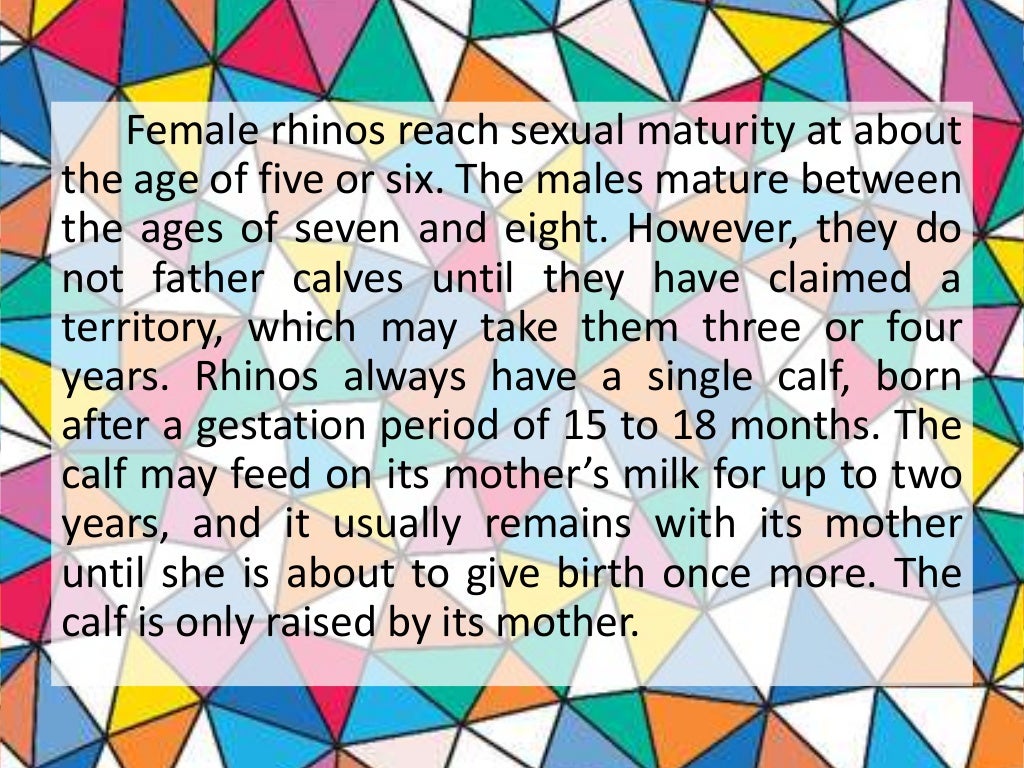 report text "Sumatran Rhinoceros" + soal report text "Sumatran Rhinoceros" + soal