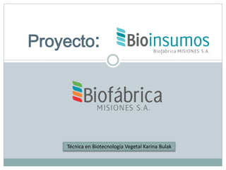 Proyecto: 
Técnica en Biotecnología Vegetal Karina Bulak  