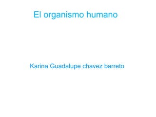 El organismo humano  Karina  Guadalupe  chavez barreto  