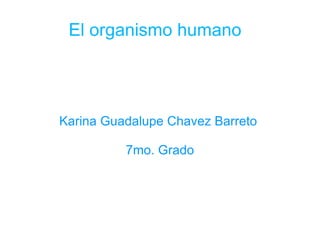 El organismo humano  Karina  Guadalupe C havez Barreto  7mo. Grado 