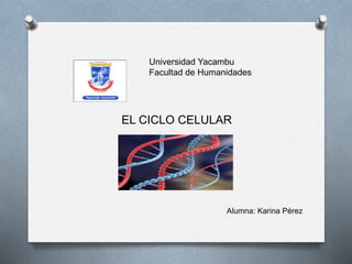 Universidad Yacambu
Facultad de Humanidades
EL CICLO CELULAR
Alumna: Karina Pérez
 