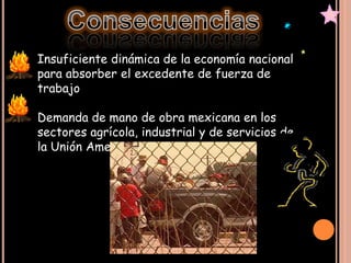 Karina Villa Migracion