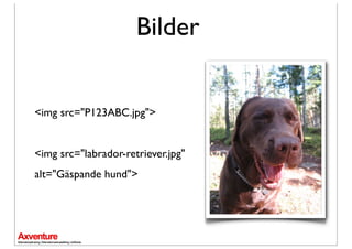 Bilder


<img src=/slideshow/internet-marknadsfring-vstra-nylands-handelskammare/3743247/"P123ABC.jpg">


<img src="labrador-retriever.jpg"
alt="Gäspande hund">
 