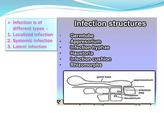 PATHOGENESIS SEMINAR PPT 2023 - By Karishma | PPTX