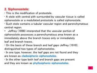 2. Siphonostele:
• This is the modification of protostele.
• A stele with central pith surrounded by vascular tissue is called
siphonostele or a medullated protostele is called siphonostele.
• Such stele contains a tubular vascular region and parenchymatous
central region.
• Jeffrey (1898) interpreted that the vascular portion of
siphonostele possesses a parenchymatous area known as a
immediately above the branch traces only or immediately
leaf and branch traces.
• On the basis of these branch and leaf gaps Jeffrey (1910),
distinguished two types of siphonosteles.
• In one type, however, the leaf gaps are not found and they
are known as cladosiphonic siphonosteles.
• In the other type both leaf and branch gaps are present
and they are known as phyllosiphonic siphonosteles.
 