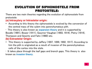 EVOLUTION OF SIPHONOSTELE FROM
PROTOSTELE:
There are two main theories regarding the evolution of siphonostele from
protostele:
(a) Intraxylary or Intrastelar origin:
• According to this theory the siphonostele is evolved by the conversion of
the central mass of the xylem into parenchymatous pith.
• This theory is also known as expansion theory and it is supported by
Boodle (1901), Bower (1911), Gwynne-Vaughan (1903, 1914). Petry (1914),
Thompson and Gewirtz and Fahn (1960) etc.
(b) Extrastelar Origin:
• This theory is supported by Jaffery (1897, 1899, 1902, 1917). According to
him the pith is originated as a result of invasion of the parenchymatous
cells of the cortex into the stele.
• It takes place through the leaf gaps and branch gaps. This theory is also
known as invasion theory.
 