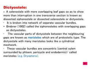 Dictyostele:
• A solenostele with more overlapping leaf gaps so as to show
more than interruption in one transverse section is known as
dissected siphonostele or dissected solenostele or dictyostele.
• It is broken into network of separate vascular bundles.
• Brebner (1902) called the siphonosteles with overlapping gaps
as dictyosteles.
• The vascular parts of dictyostele between the neighbouring
gaps are known as meristeles which are of protostelic type. The
dictyostele with many meristeles looks like a cylindrical
meshwork.
• These vascular bundles are concentric (central xylem
surrounded by phloem, pericycle and endodermis)/ called
meristeles (e.g. Dryopteris).
 