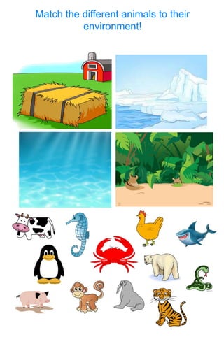 Match the different animals to their
environment!
 