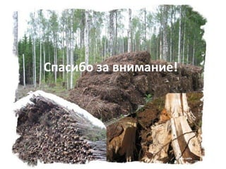 Спасибо за внимание!




                   © Juha Laitila
 