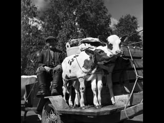 © 11. syys 2014 Karjalan Liitto ry. 100 
 