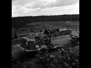 © 11. syys 2014 Karjalan Liitto ry. 103 
 