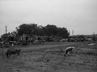 © 11. syys 2014 Karjalan Liitto ry. 107 
 