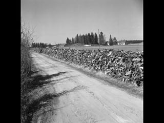 Kuva 98 MV 
4473:174 
© 11. syys 2014 Karjalan Liitto ry. 125 
 