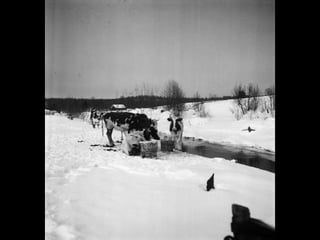 © 11. syys 2014 Karjalan Liitto ry. 19 
 