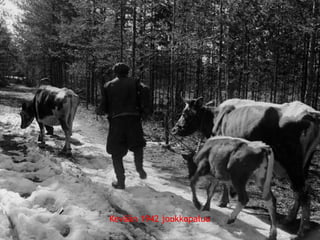 Kevään 1942 joukkopaluu 
© 11. syys 2014 Karjalan Liitto ry. 48 
 