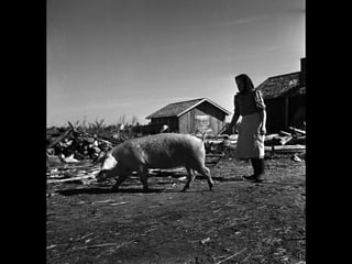 © 11. syys 2014 Karjalan Liitto ry. 59 
 