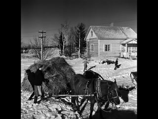 © 11. syys 2014 Karjalan Liitto ry. 61 
 