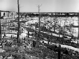 © 11. syys 2014 Karjalan Liitto ry. 89 
 