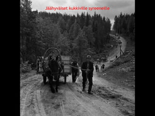 Jäähyväiset kukkiville syreeneille 
© 11. syys 2014 Karjalan Liitto ry. 95 
 