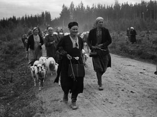 © 11. syys 2014 Karjalan Liitto ry. 97 
 