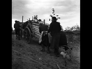 © 11. syys 2014 Karjalan Liitto ry. 98 
 