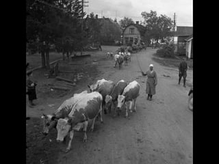 © 11. syys 2014 Karjalan Liitto ry. 99 
 