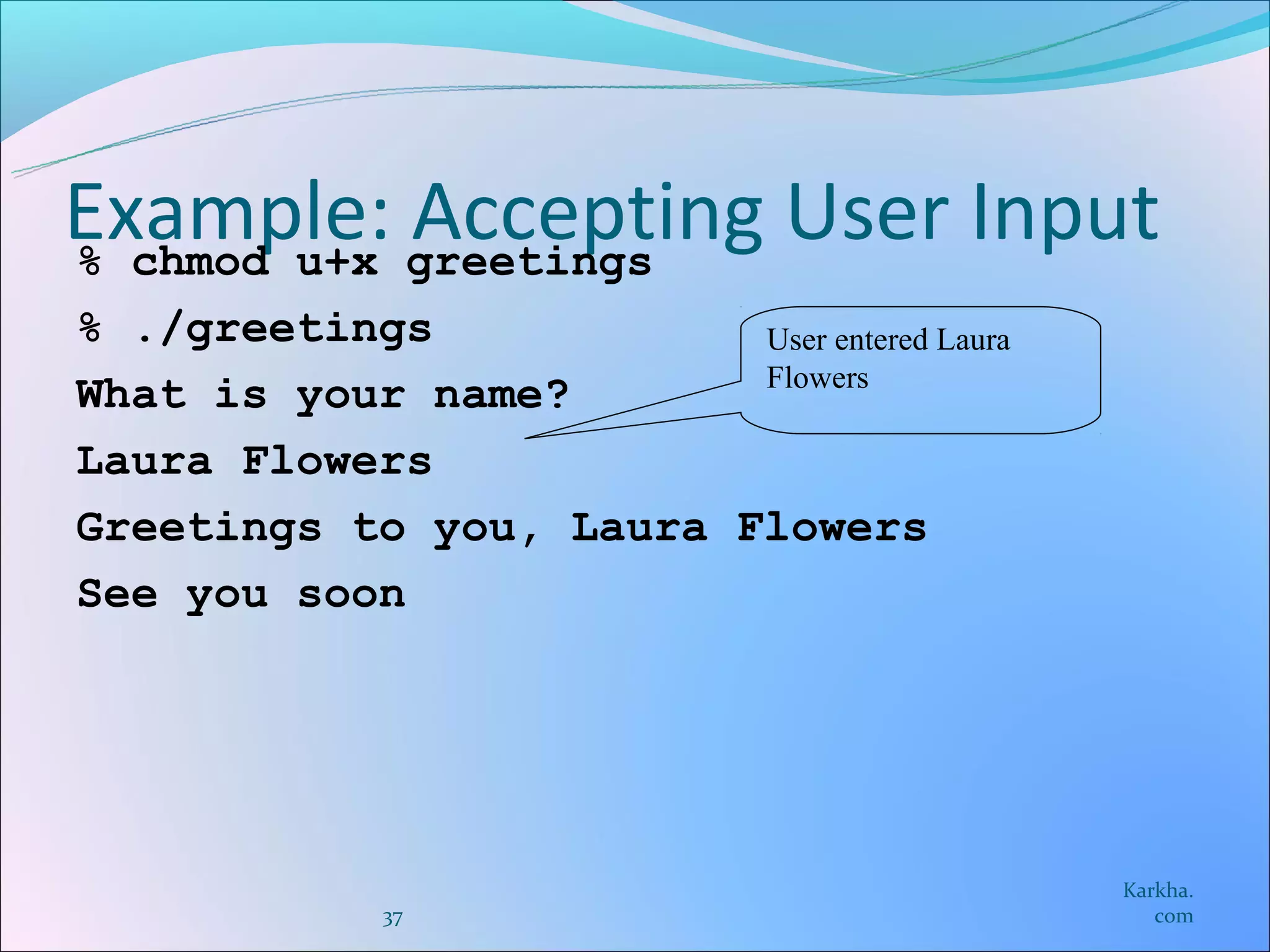 Example: greetings User Input
% chmod u+x
            Accepting
% ./greetings            User entered Laura
                         Flowers
What is your name?
Laura Flowers
Greetings to you, Laura Flowers
See you soon




                                              Karkha.
              37                                 com
 
