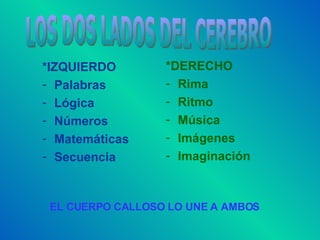 *IZQUIERDO Palabras Lógica Números Matemáticas Secuencia *DERECHO Rima Ritmo Música Imágenes Imaginación LOS DOS LADOS DEL CEREBRO EL CUERPO CALLOSO LO UNE A AMBOS 