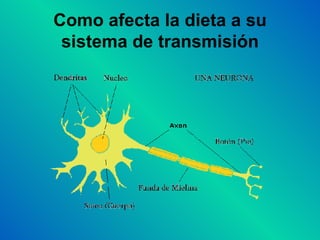 Como afecta la dieta a su sistema de transmisión 